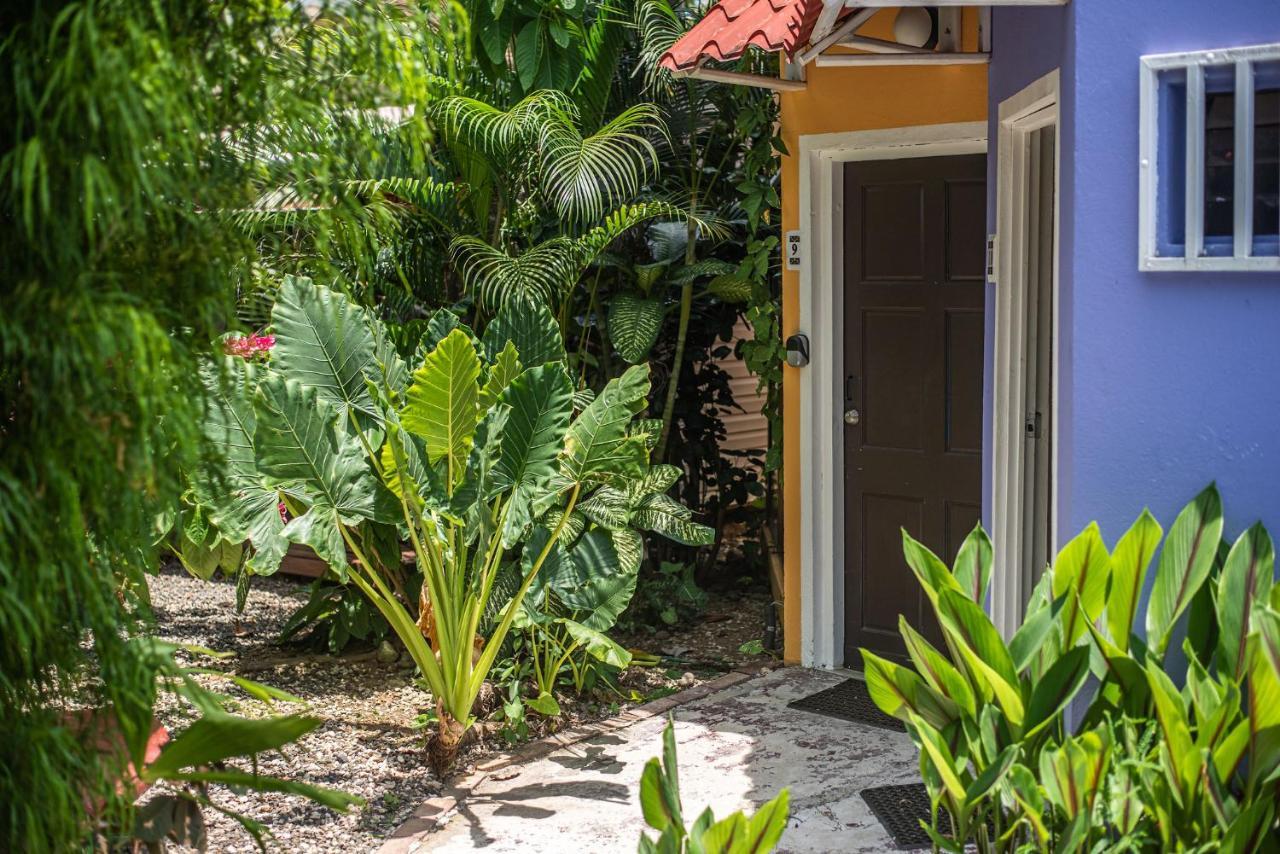 Jaco Lodge Quiet Place (Adults Only) Bagian luar foto
