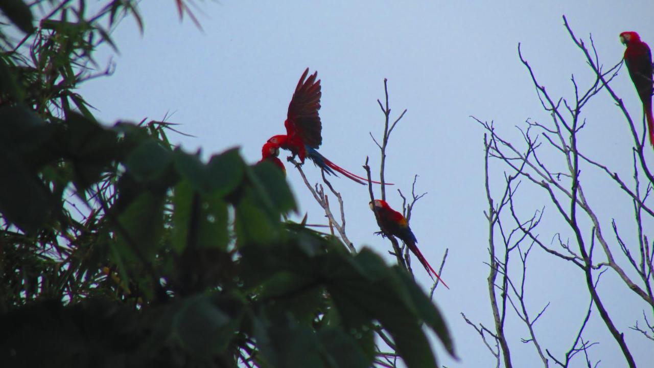Jaco Lodge Quiet Place (Adults Only) Bagian luar foto